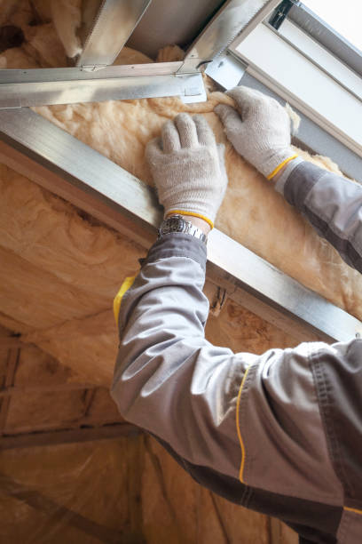 Best Eco-Friendly Insulation in West Lake Hills, TX